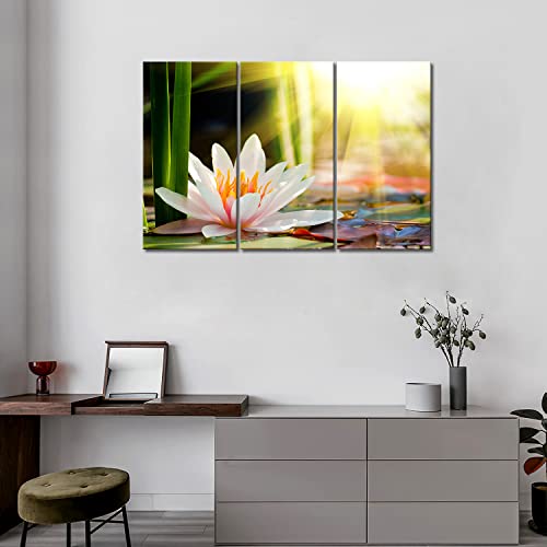 3 Panel Wall Art Beautiful Water Lily Sunshine Painting The Picture Print On Canvas Flower Pictures For Home Decor Decoration Gift Piece (Stretched By Wooden Frame,Ready To Hang) #TOP2