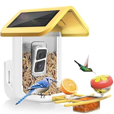 Bird Feeder with Camera Solar Powered: Smart Camera Bird Feeder 2K Live Feed Cam for Outdoor Backyard - Ai Identify Auto Capture Videos, Unique Outdoor Gifts for Mom Dad Birdlover