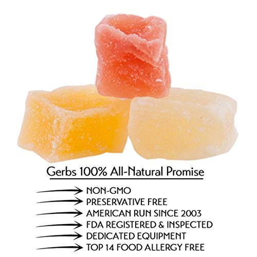 Gerbs Tropical Dried Fruit Snack Mix 2 Lbs. Premium Grade | Top 14 Food Allergy Free | Resealable Bulk Bag | Made In Usa | Unsulfured Diced Mango Pineapple Papaya | Gluten Peanut Tree Nut Free #TOP7