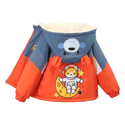 [dvbfvjei] q WPbg LbY ~ H EChu[J[ t[ht j̎q N  g Wp[ {[CY n   R[g h h ۉ p[J[ JWA t H ~ ʉ ʊw AEghA