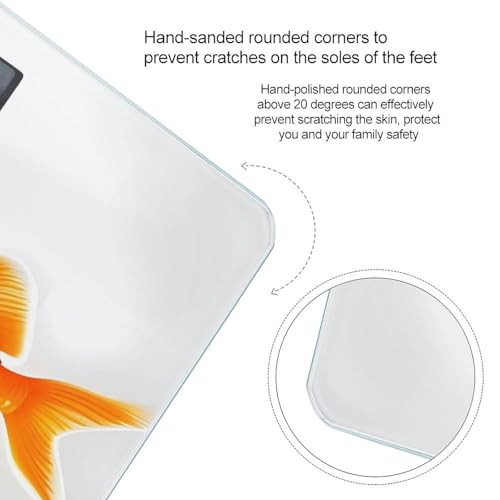 Báscula digital Cute Goldfish vidrio templado LCD miniatura 4