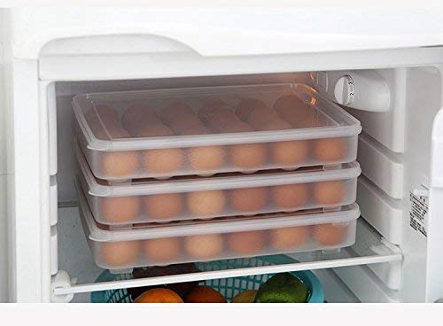 Heavan ABS Plastic Kitchen Refrigerator 24 Grid Egg Container Storage Box/Holder/Case Food Crisper Organizer (Small,Color : Random) 2