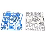 Zunate DIY Solarbetriebenes Kutschenspielzeug, Pädagogisches Wissenschaftliches Experiment für, Erneuerbare Ressourcen, ab 10 Jahren