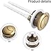 38mm Dual Push Flushing Toilet Button, Gold Flush Button, Adjustable Toilet Tank Button Replacement with Thread Diameter for Most Standard Toilets