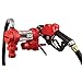 Fill-Rite FR4210HB 12V 20 GPM Fuel Transfer Pump with Discharge Hose & Automatic Nozzle, Red Gasoline, Diesel, Kerosene, Ethanol & Methanol Blends & Biodiesel