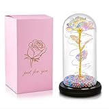Christmas Rose Gift for Her, Galaxy Flower Rose Gift for Girlfriend, Forever Rose Flower Gift, Colorful Rose, Glass Dome Rose Gifts for Her, Girlfriend(Colorful Foam Grain)