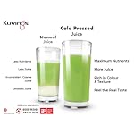 Kuvings-B1700-Professional-Cold-Press-Whole-Slow-Juicer-Patented-JMCS-Technology-for-10-More-Juice-Longest-Warranty-12-Years