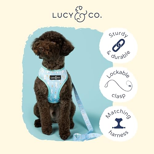 Lucy & Co. Funny Bunny - Designer Dog Leash for Small to Large Dogs - Padded Handle for Comfort - Small, Blue Green Bunnies Plaid - 5 Foot
