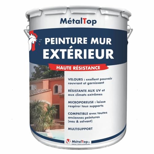 Metaltop - Peinture Mur Exterieur - Gris clair - RAL 7035-1 L - Peinture microporeuse, application sur crépi, béton, brique pour une protection jusqu'à 10...
