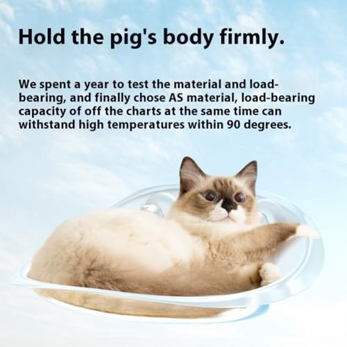 Lit en verre pour chat endormi : design épuré et confort haut de gamme toutes saisons