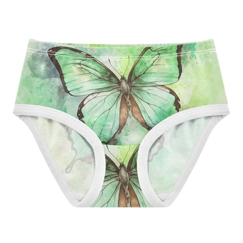 Painting Green Butterfly Wings Toddler Underwear Custom 2t Cotton Panties for Girl Artistic Kids Undies Briefs