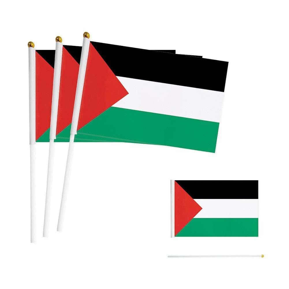 Palestina bandiera palestinese con palo I Stand mano sventolando