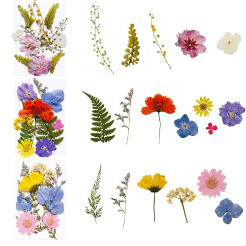 112 piezas flores secas prensadas para manualidades miniatura 3