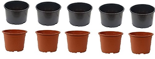 SPHINX Plastic Small Nursery Pots Planters - (Height/Depth - 10 cms/4 Inches) -COLOR AS PER STOCK) (10)