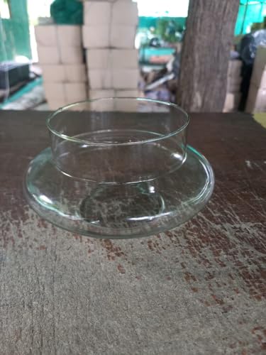Image of Aradhya Enterprises Pots Glass pots for Lucky Bamboo Bowl transperant Glass Bowl