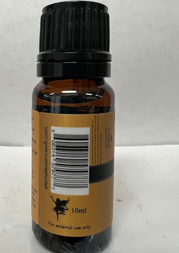 Image of Honey & Shea - Premium Grade Fragrance Oils - 10ml - Scented Oil