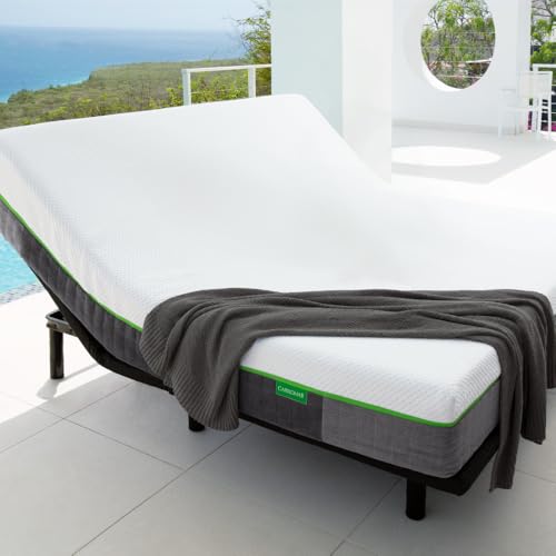 Cariloha Luxury Bamboo Mattress - Advanced Side-Wedge Support Signature Bamboo Comfort Foam - Luxury Memory Foam - Flex Flow Dual Density Base Foam (Queen)