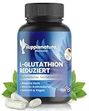 supplenatura. Rheinland