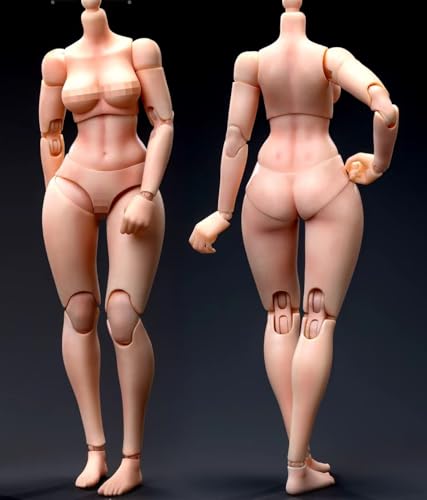 おもちゃ ホビー [TOYBARJAPAN] 1/12 アクションフィギュア 用 TUNSHI STUDIO TS-FB-002 B スモールバスト女性素体ボディ