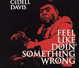 Feel Like Doin Something Wrong