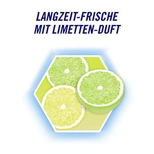 Domestos Power 5 WC-Stein Limette 3er-Pack mit der Hygiene-Kraft für ein sauberes WC – Ansicht 5