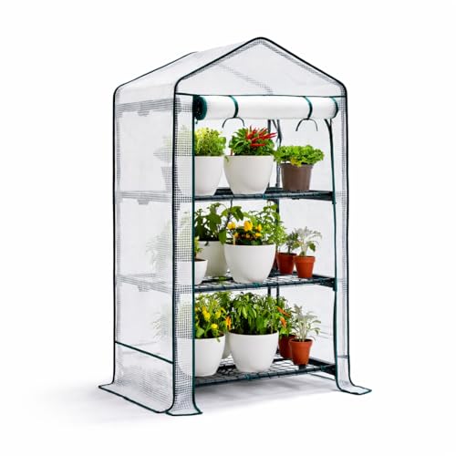 Bramble - 3 Tier Mini Compact Greenhouse, 4ft Tall - Reinforced PVC Cover, Easy No Tool Assembly Steel Frame, for Small Garden Grow House Plants Idea