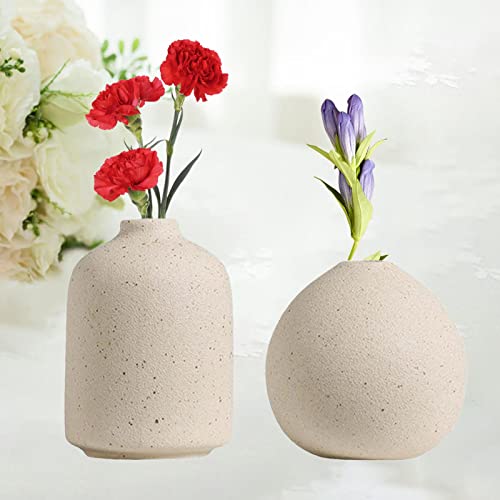 gazechimp Vaso de cerâmica, Vaso de Flores decoração interior ao ar livre elegante vaso de mesa Deco