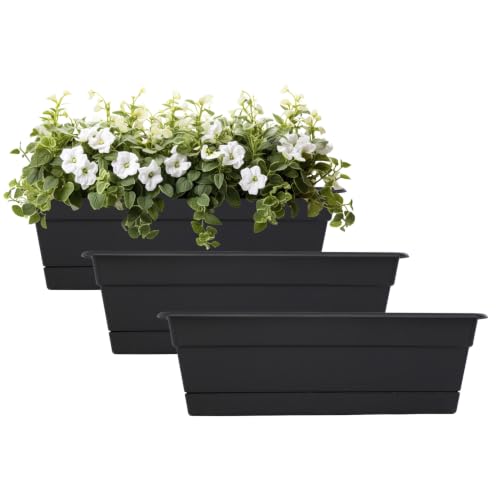 Bloem Dura Cotta 30" Plastic Window Box Planter with Saucer, Black, 3-Pack