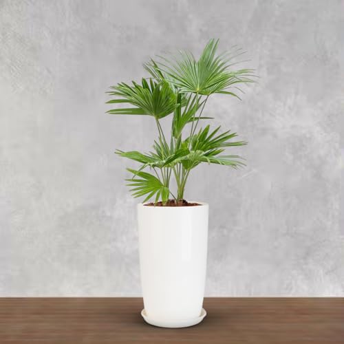 BonKaso 18 inch Solid White Flower Pot – Tall, Durable & Lightwei...