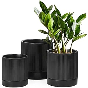 Ladovita 3 pack ceramic plant pots 654 inch flowerpot for indoor plants with drainage holes and tray outdoor garden planters modern decorative for home black vertical stripes  urban country home decor
