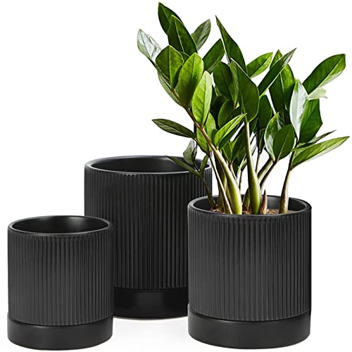 LaDoVita 3 Pack Ceramic Plant Pots 654 inch Flowerpot for Indoor Plants with Drainage Holes and Tray Outdoor Garden Planters Modern Decorative for Home Black Vertical Stripes