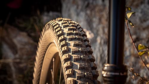 Schwalbe Big Betty Evolution Super Gravity Addix Soft TLE Folding Tyre, Bronze Skin, 62-584 (27.5x2.40) - Image 4