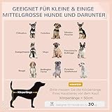 PawHut Rattan Hundeliege Outdoor mit Dach, Erhöhtes Hundebett für kleine und mittelgroße Hunde, Kühlendes Haustierliege mit Metallrahmen, Kissen für Draußen, 69 x 98 x 70 cm, Grau