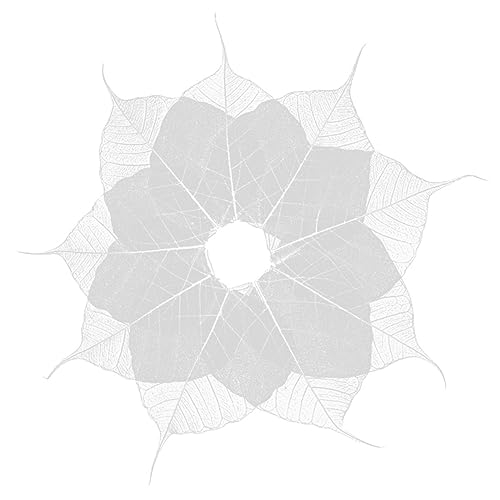 Fleurs séchées pour projets de bricolage EXCEART, déco album photo et loisirs créatifs