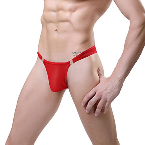 Men's 4 Colors Pack Mesh Thong Lingerie Breathable Sexy Briefs Detachable Stretch Underpants Hot Underwear Gift for Boyfriend4