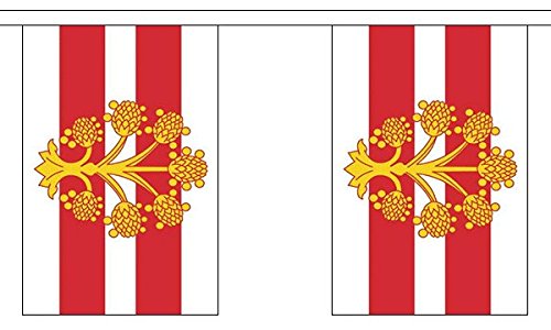 Flagtex Westmorland Fabric Bunting – 9m with 30 Flags – Premium Indoor & Outdoor Decoration — image 1