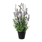 CREATIV green künstlicher Lavendel 35cm im Topf I künstliche naturgetreue Lavendelpflanze mit Blüten I Deko Lavendel für Innen I hochwertige & dekorative Dekopflanze I Kunstpflanze im Topf