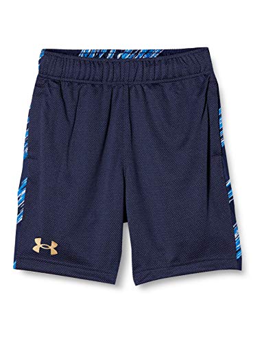 [�A���_�[�A�[�}�[] �V���[�c Youth Baseball Mesh Shorts �{�[�C�Y 410 ���{ YLG (���{�T�C�Y150 ����)