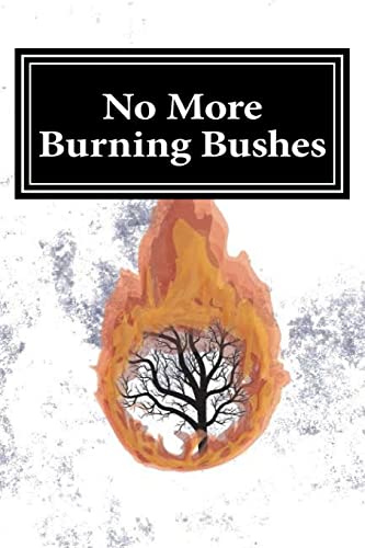 No More Burning Bushes: Finding meaning in the one time events of the Bible