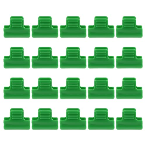 Angoily tBNbv 40Zbg ՌlbgbhŒp vX`bN XibvNbv |ptBobNNv