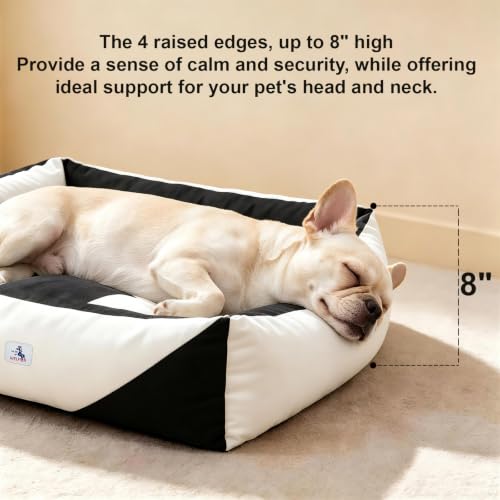 Image of Canvas Dog Bed, Cotton Cute Dog Beds for Small Dogs, Puppy Bed with Washable Removable Cover, Durable 290 GSM Cotton Anti-Chewing Pet Bed with Anti-Slip Bottom (24 inchx20 inchx8 inch, Black&White)