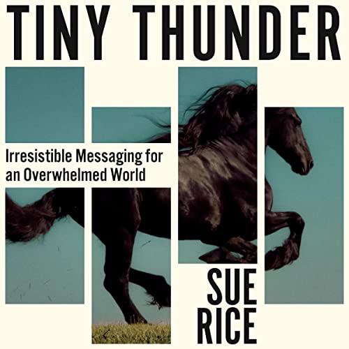Tiny Thunder by Sue Rice episode artwork