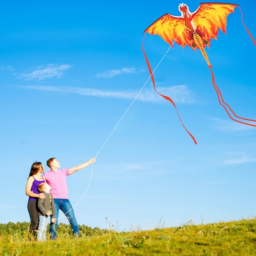 Drachen Kinder für Erwachsene, 4–8 8–12 Jahren, leicht zu fliegen, Kinderdrachen für Jungen, Mädchen, Drachen für Anfänger, großer Drachen für Strandausflug, Park