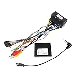 16 Pin Android Radio Harness Adapter with Decoder, ISO Connector, 52Pin, Compatible with Fiat 500 Panda Doblo Uno Bravo Punto Ducato(52 Pin)