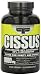 Primaforce Cissus, 120 Count Bottle (1000mg)