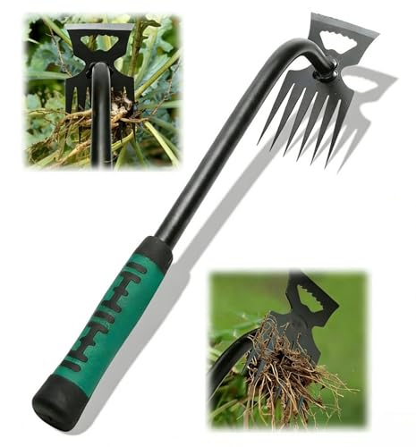 MUNTE 6 Dientes Extractor Malas Hierbas, Desbrozadora Manual 36cm, Herramienta para Quitar Malas Hierbas con Azada en Forma de Hoz, para Desherbar Jardines, Balcones y Macetas