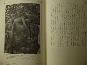 Amazon.co.jp: Ω 性文化風俗誌『インド性愛文化論』定方晟春秋社