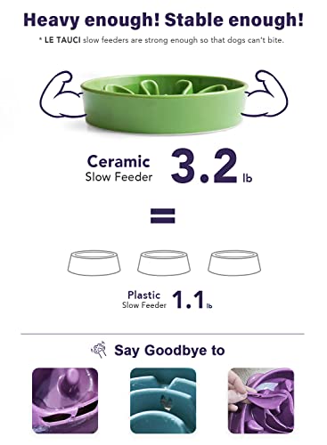 LE TAUCI Slow Feeder Dog Bowls Ceramic, 1.5 Cups Slow Eater Bowl for Dogs, Puppy Slow Feeder Bow for Fast Eaters,Puzzle Dog Food Bowl,Clover Green - Image 5