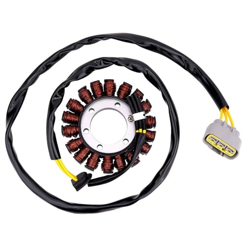 Bobine stator alternateur résout panne de batterie M1000R S1000RR