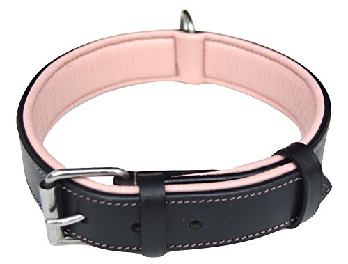 girl collars